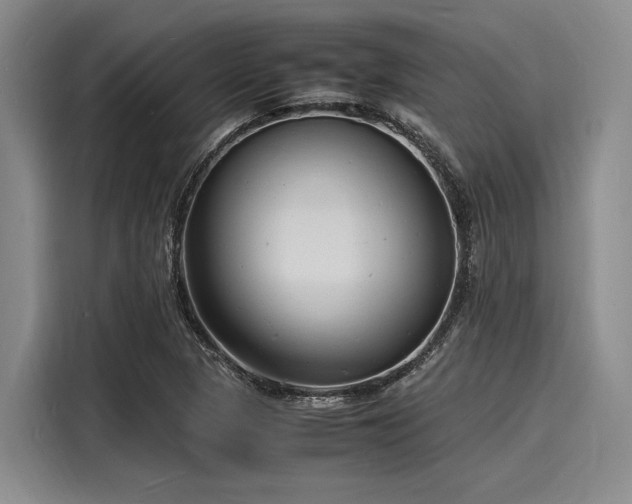 X0000116141313200911301513