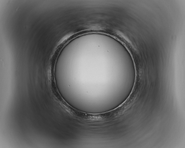 X0000116141315200911301513