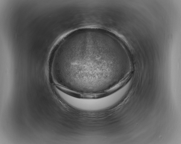 X0000116141319200911301513