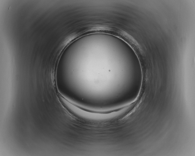 X0000116141321200911301513