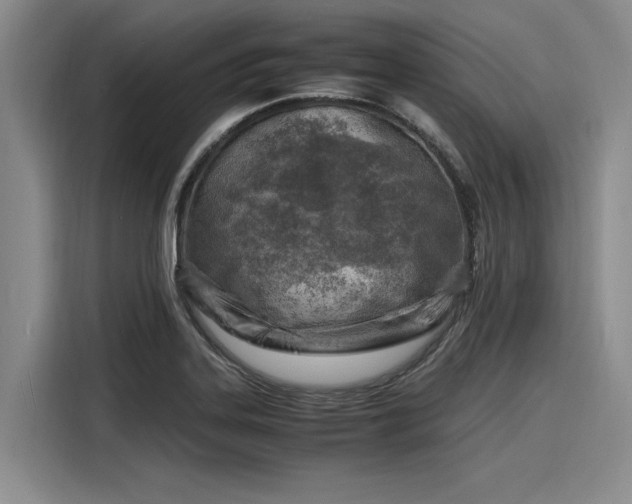 X0000116141323200911301513