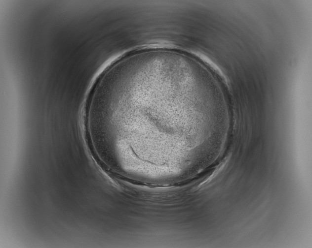 X0000116141325200911301513