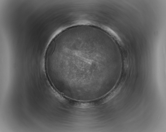 X0000116141326200911301513