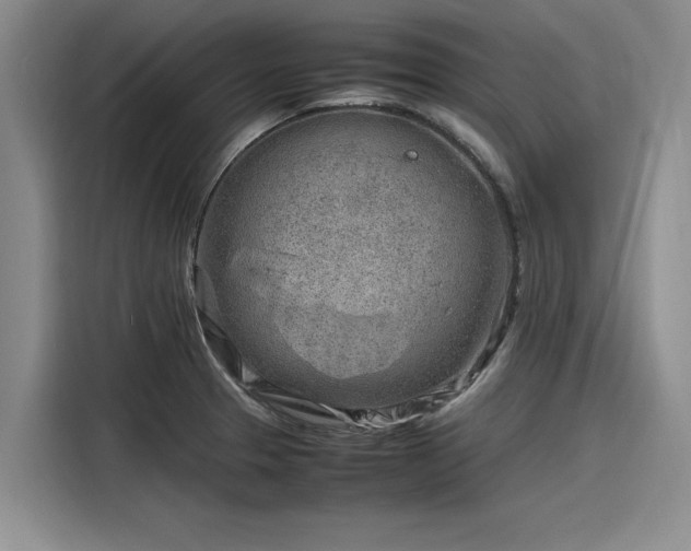 X0000116141329200911301513