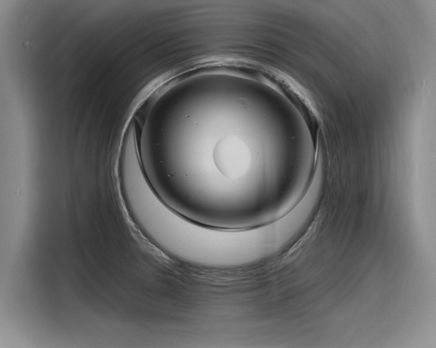 X0000116141330200911301513