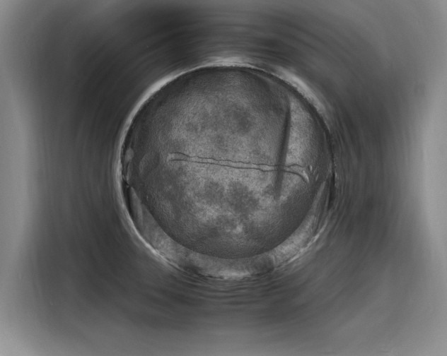 X0000116141331200911301513