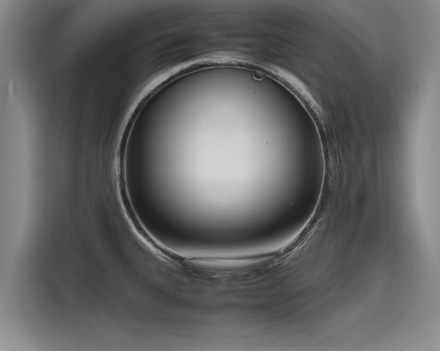 X0000116141335200911301513