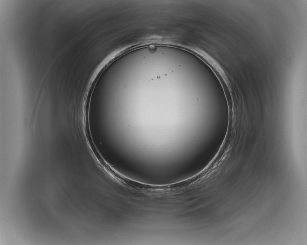 X0000116141341200911301513