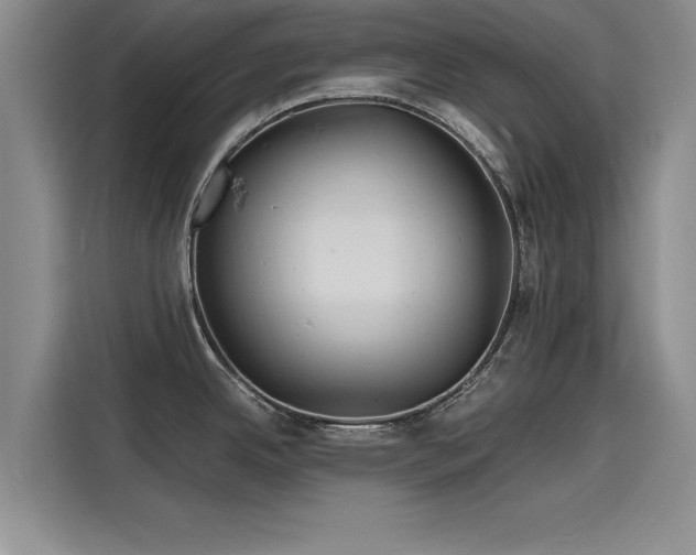 X0000116141342200911301513
