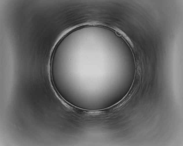 X0000116141343200911301513