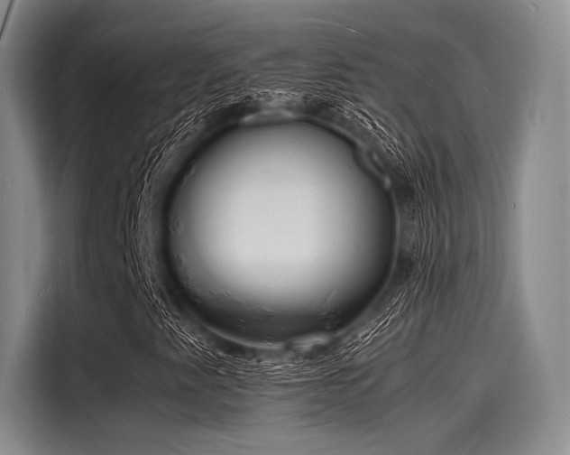 X0000116141345200911301512