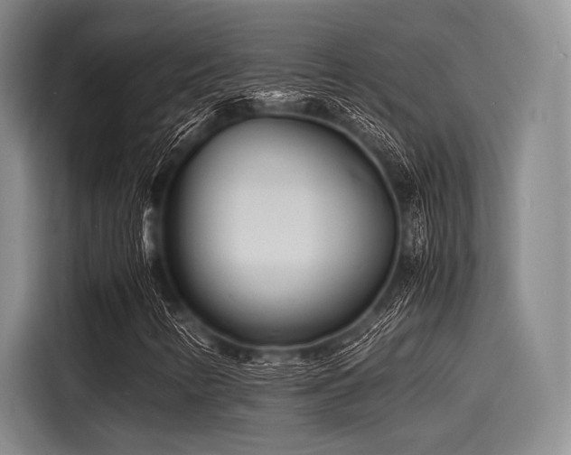 X0000116141346200911301512