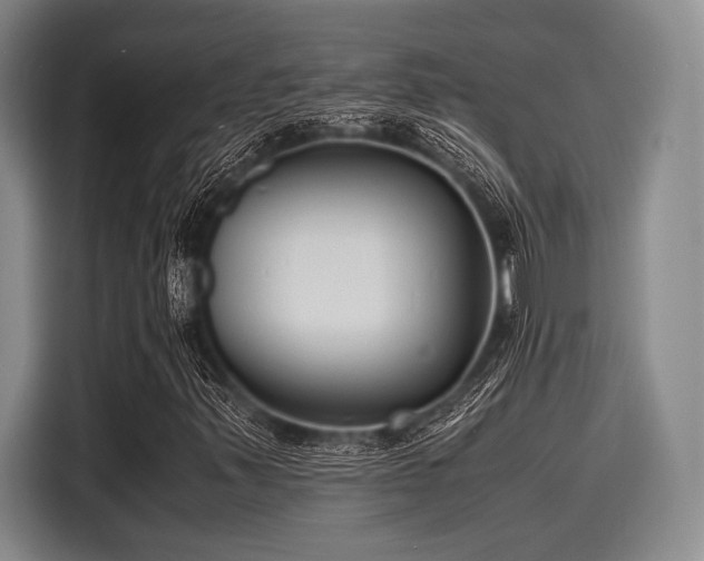X0000116141347200911301512