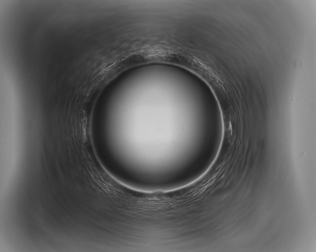 X0000116141348200911301512