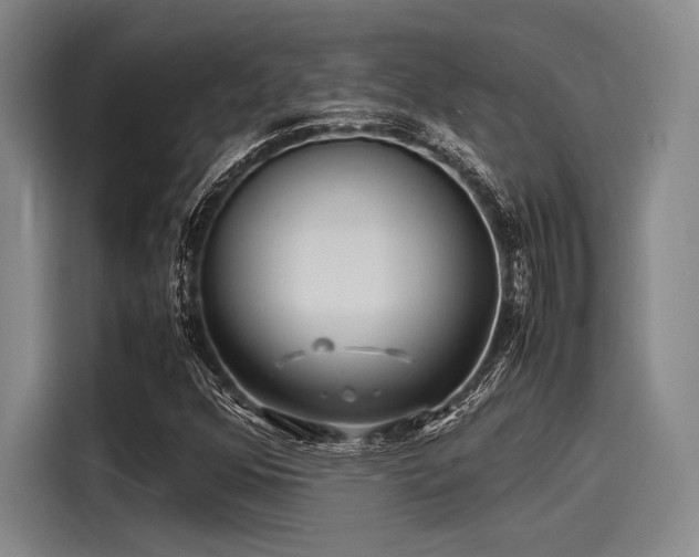 X0000116141352200911301512