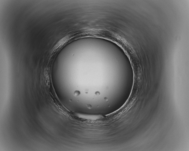 X0000116141354200911301512