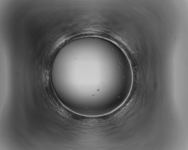 X0000116141355200911301512