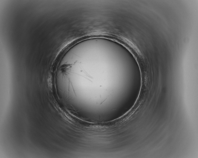 X0000116141356200911301512
