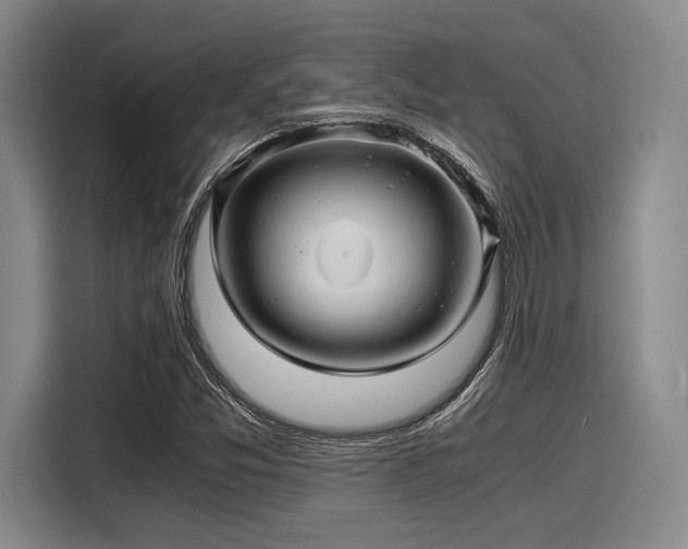 X0000116141357200911301512