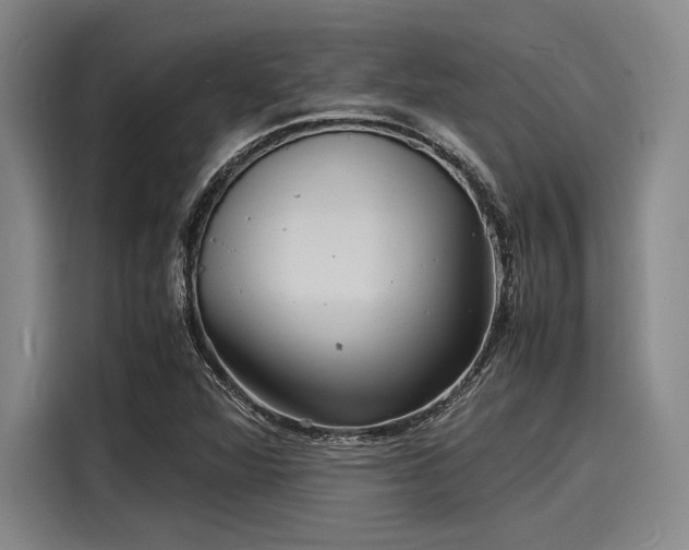 X0000116141360200911301512