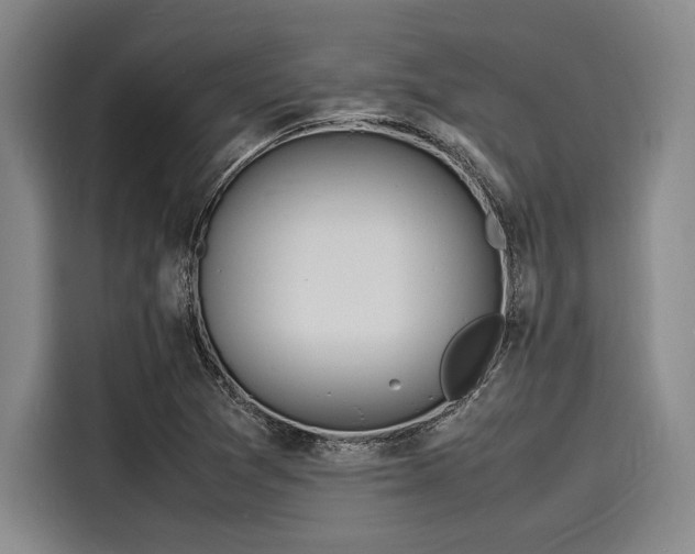 X0000116141361200911301512