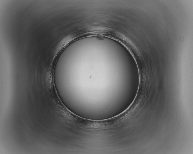X0000116141362200911301512