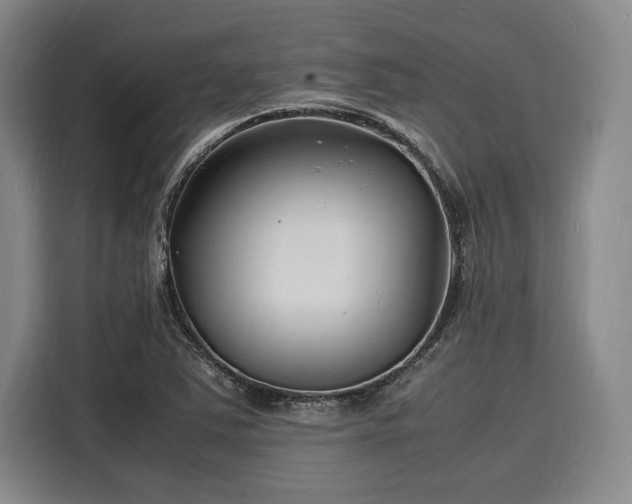 X0000116141363200911301512