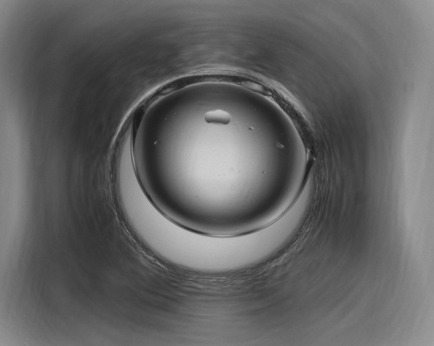 X0000116141364200911301512