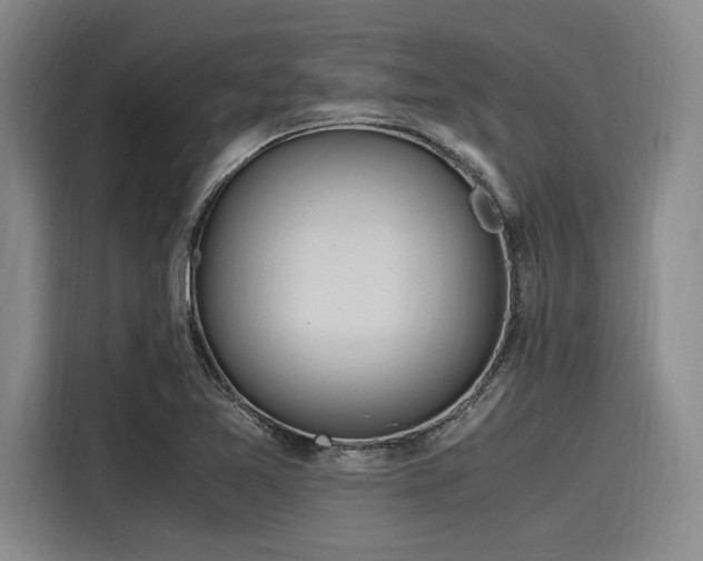 X0000116141365200911301512