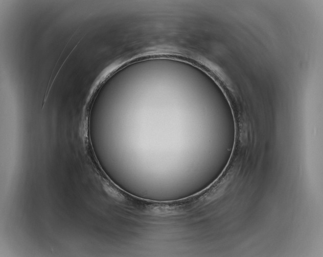 X0000116141366200911301512