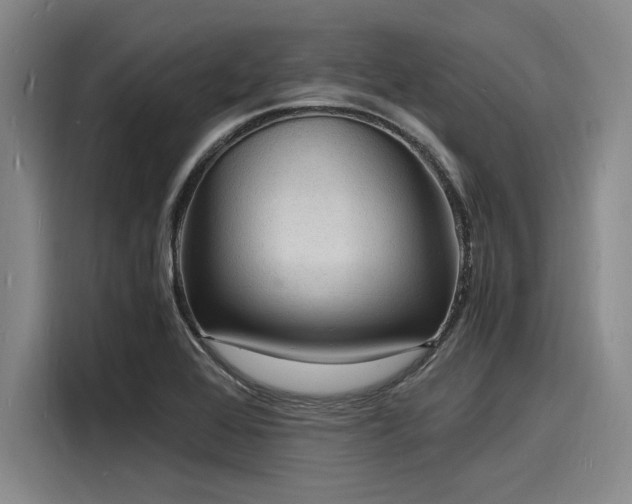 X0000116141368200911301512