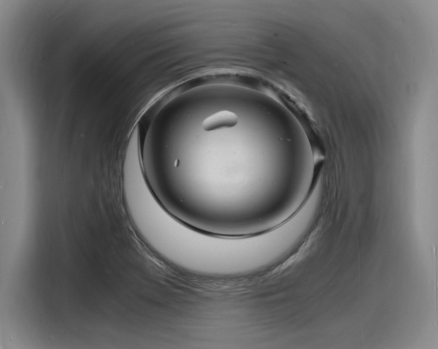 X0000116141369200911301512