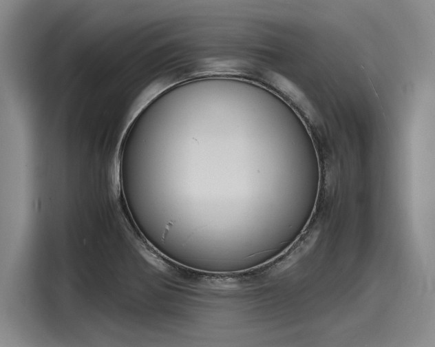X0000116141370200911301512