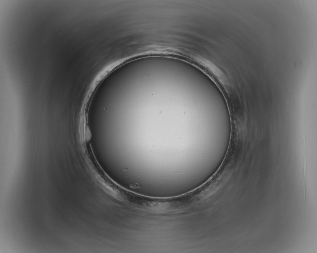 X0000116141371200911301512