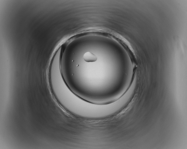 X0000116141373200911301512