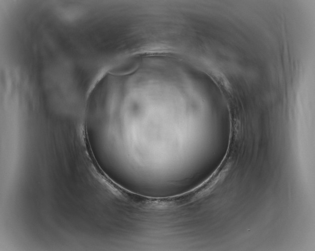 X0000116141374200911301512