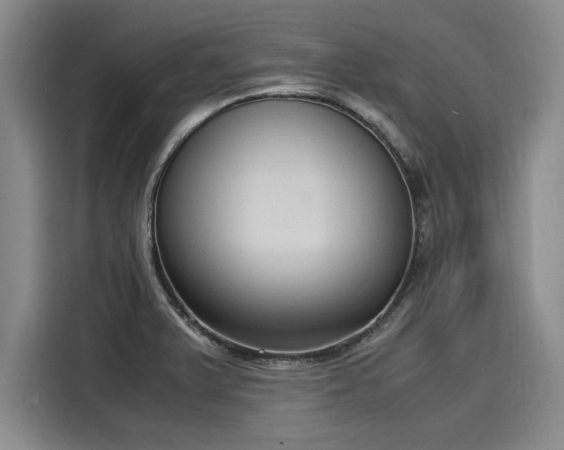 X0000116141375200911301512