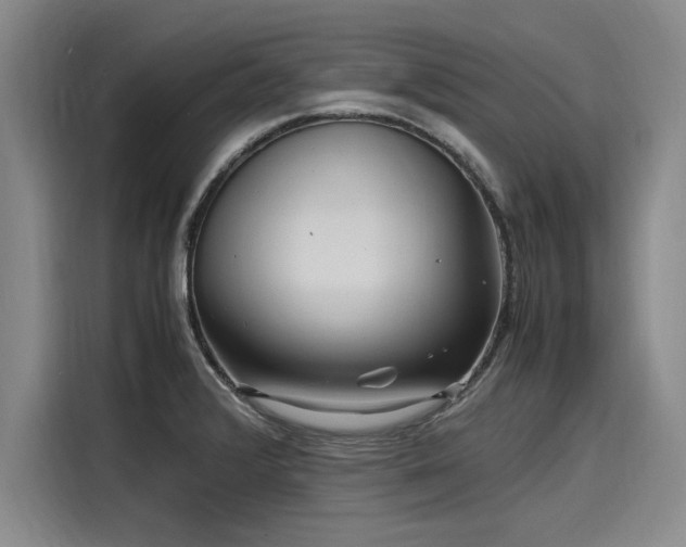 X0000116141376200911301512