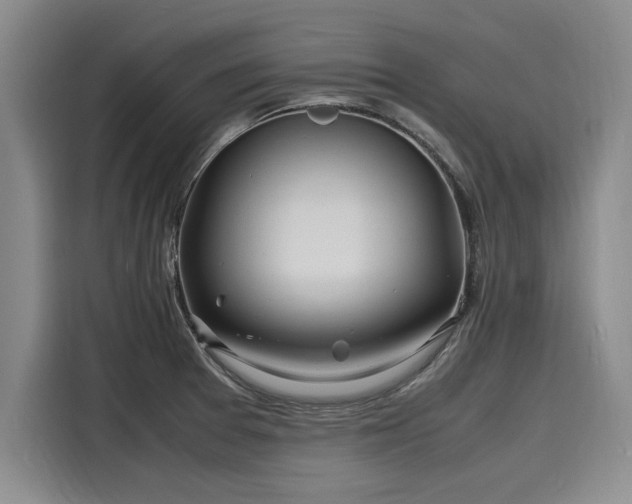 X0000116141377200911301512