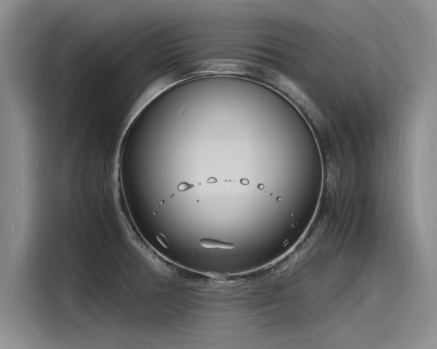X0000116141378200911301512