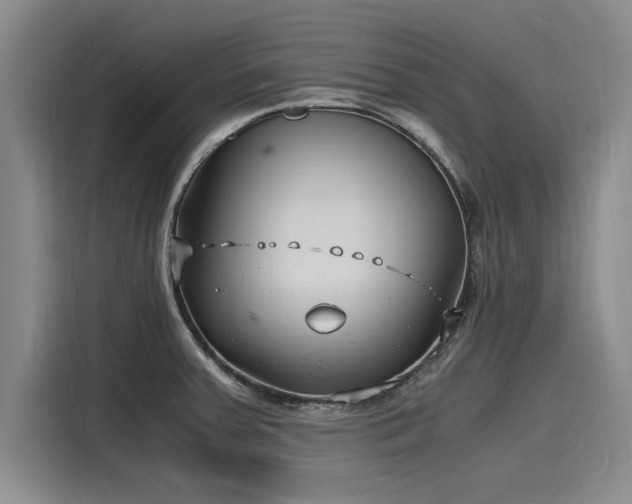 X0000116141379200911301512