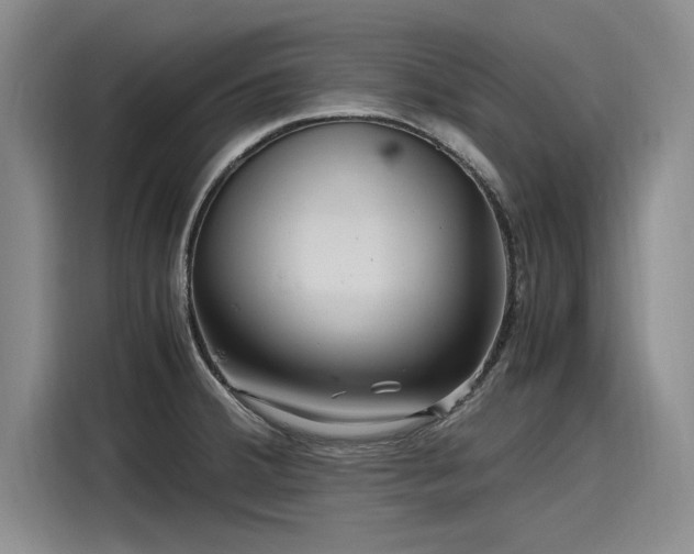 X0000116141380200911301512
