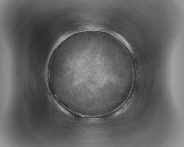 X0000116141381200911301512