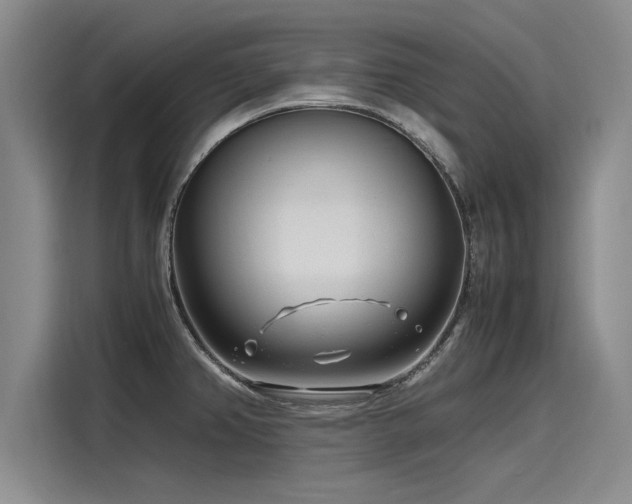 X0000116141382200911301512