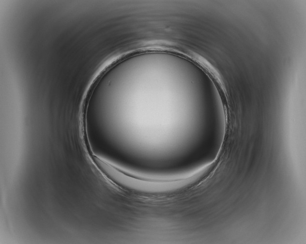 X0000116141384200911301512