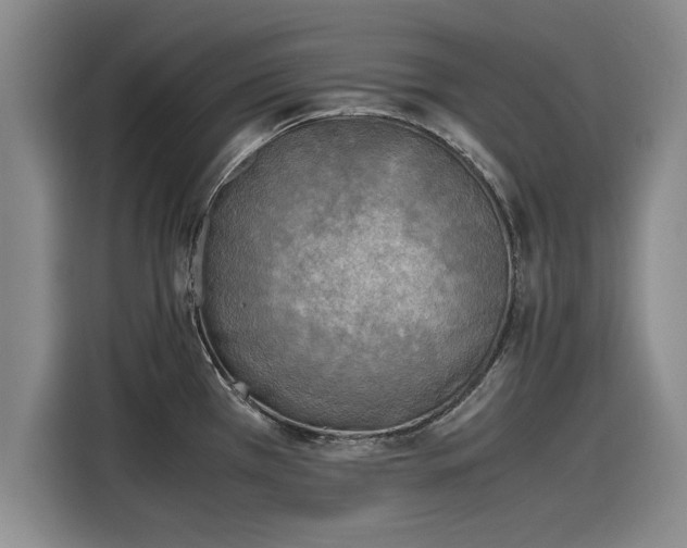 X0000116141385200911301512