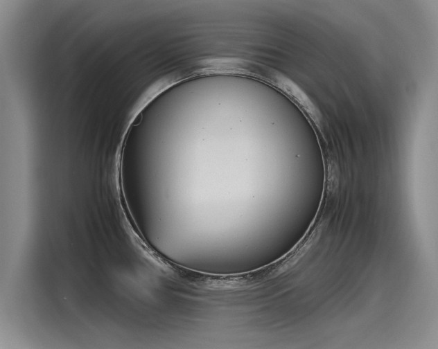 X0000116141386200911301512