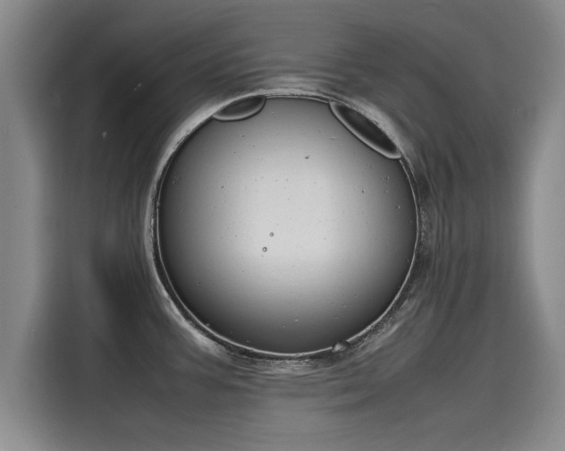 X0000116141387200911301512