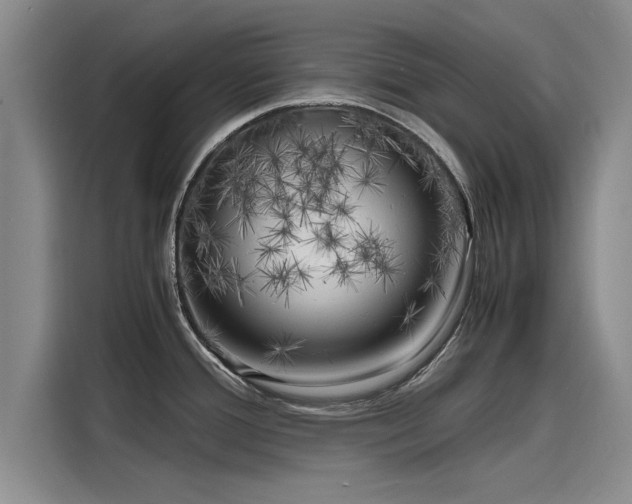 X0000116141388200911301512