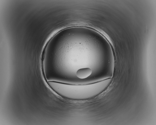 X0000116141389200911301512